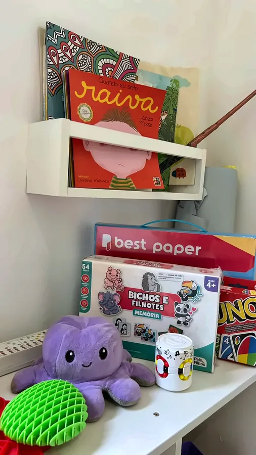 Detalhe: livros, jogos e bichinhos de pelúcia.
