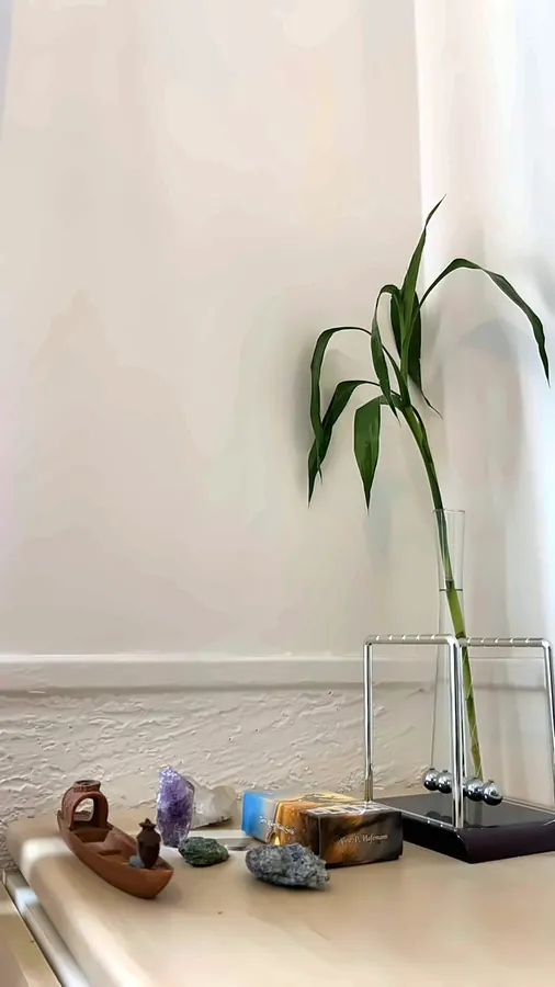 Detalhe: materiais de massagem em madeira e óleos.